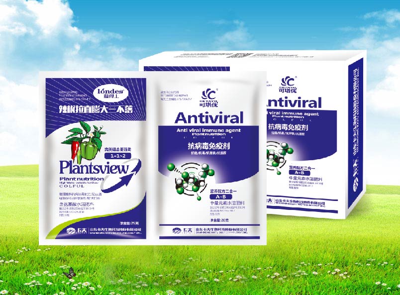 蓝得士辣椒拉直膨大三不落+可塔优抗病毒免疫剂